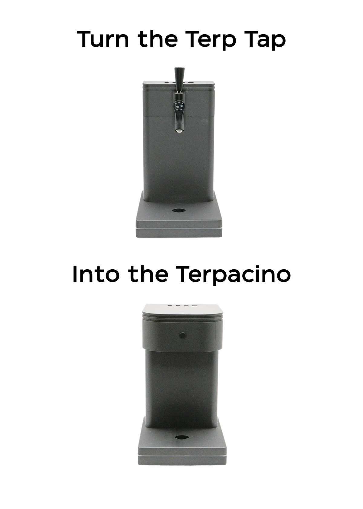 Terpacino Top