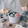 胭脂粉與藍綠色玫瑰花造型仙人掌蠟燭