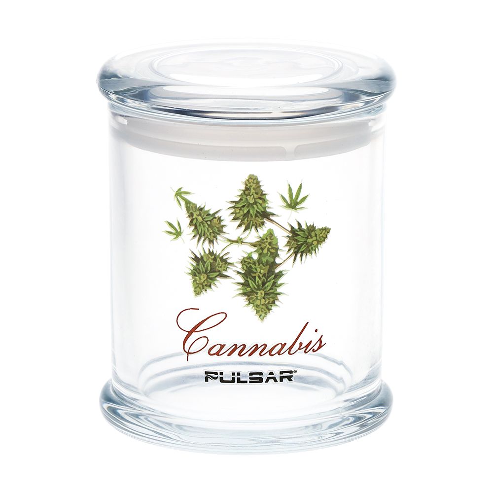 Pulsar Pop Top 玻璃罐 | 大號 | 4.5 英寸 x 3.9 英寸
