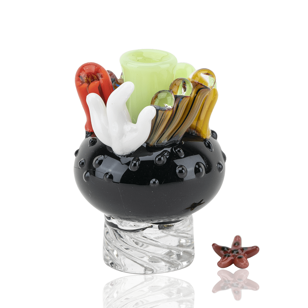 Empire Glassworks 珊瑚礁旋轉帽