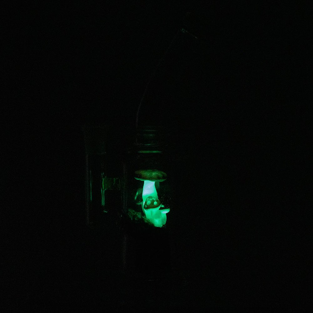 Empire Glassworks 宇宙蘑菇迷你水煙斗